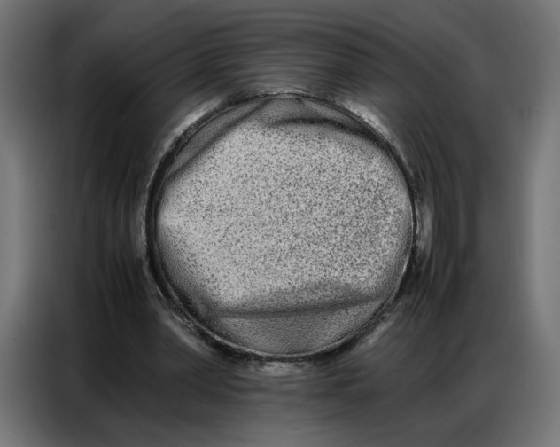 X0000086740390200705041412