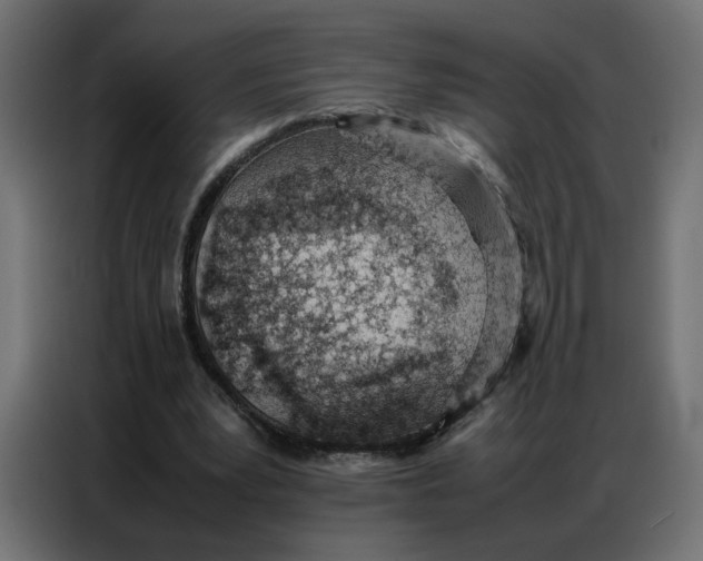 X0000086740391200705041412