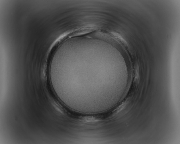 X0000086740392200705041412