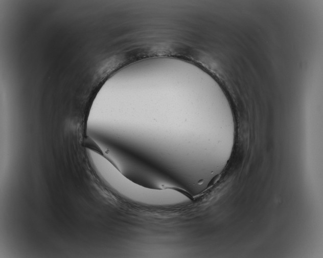 X0000086740393200705041412