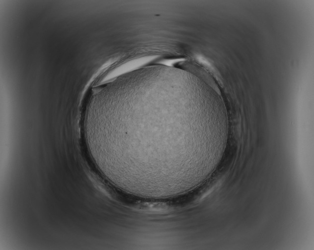 X0000086740395200705041412