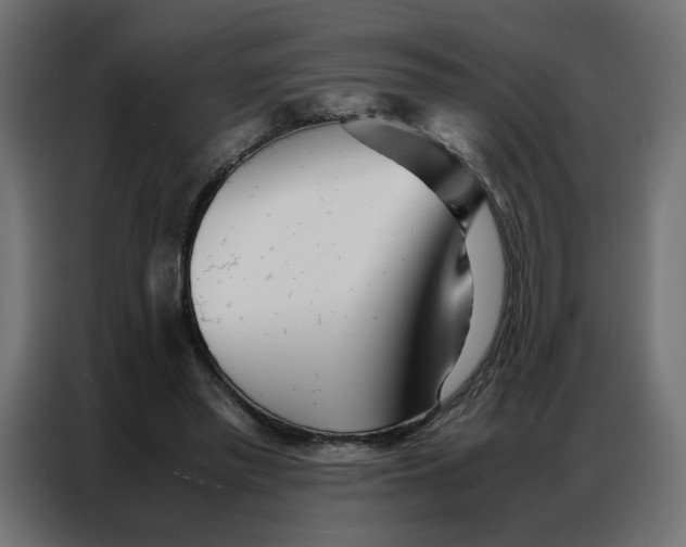 X0000086740397200705041412