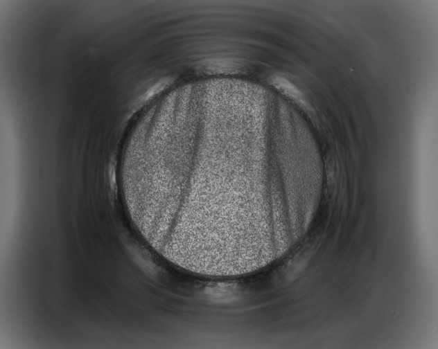 X0000086740398200705041411