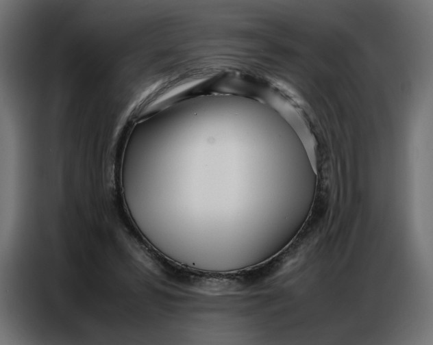 X0000086740399200705041411