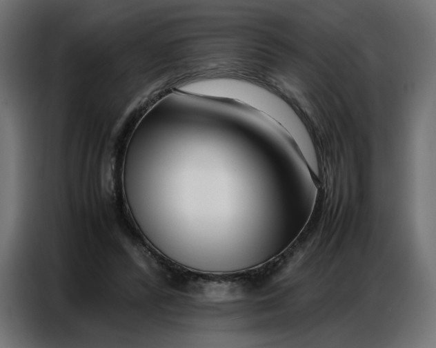 X0000086740400200705041411