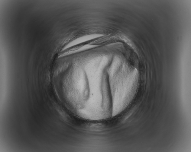 X0000086740401200705041411