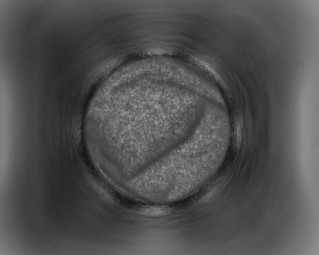 X0000086740402200705041411