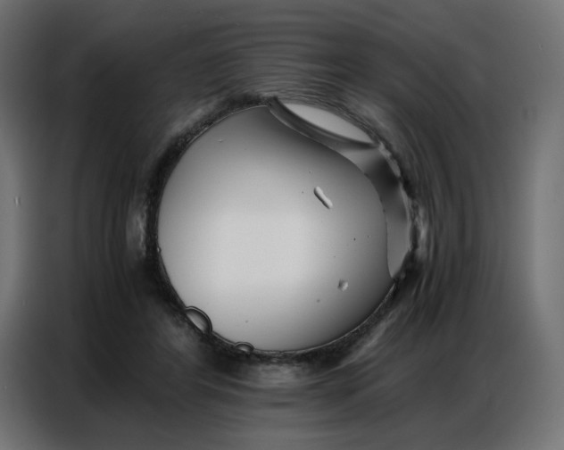 X0000086740404200705041411