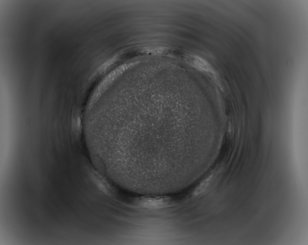 X0000086740405200705041411