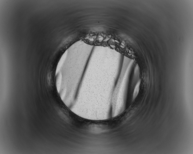 X0000086740408200705041411