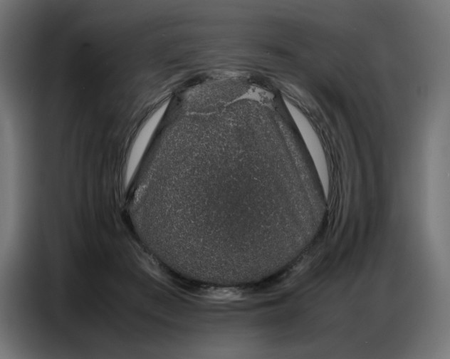 X0000086740409200705041411