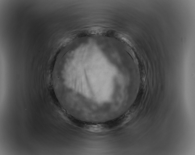 X0000086740411200705041411