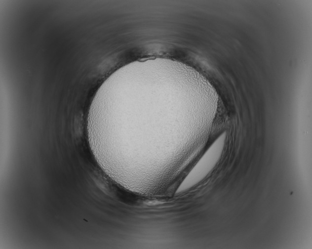 X0000086740413200705041411