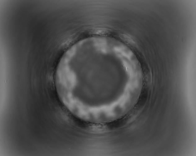 X0000086740415200705041411