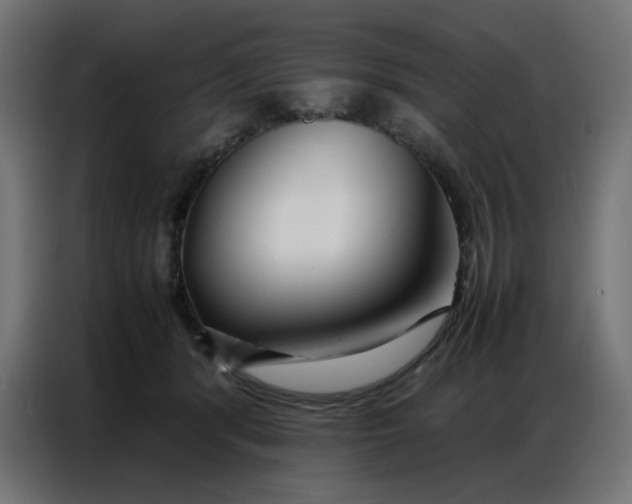 X0000086740416200705041411