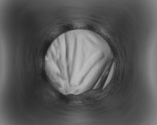 X0000086740417200705041411