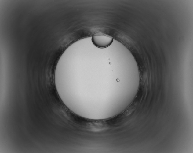 X0000086740418200705041411