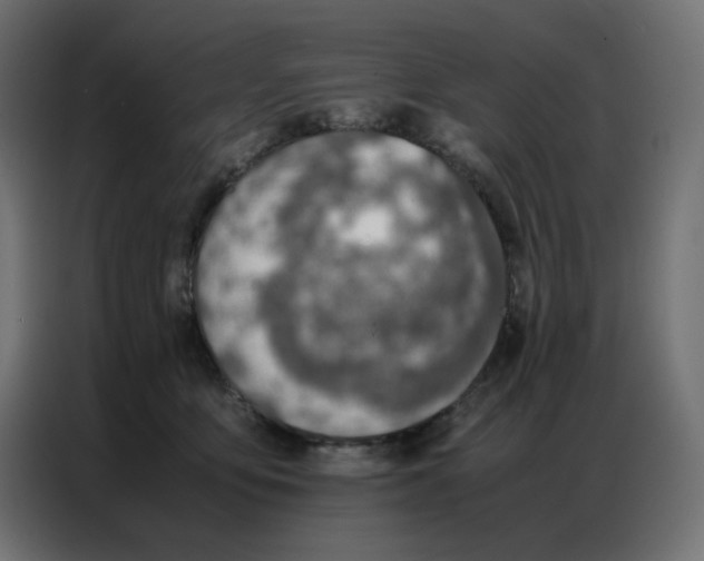 X0000086740419200705041411