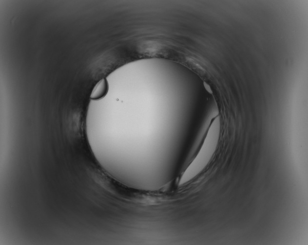 X0000086740420200705041411