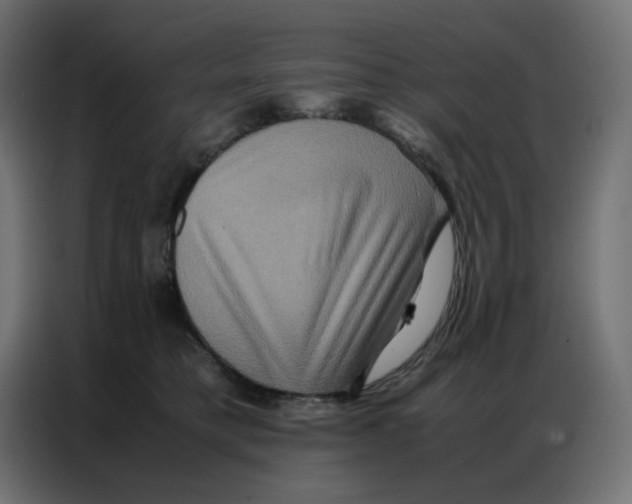 X0000086740421200705041411