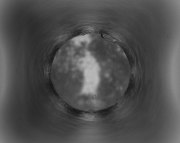 X0000086740423200705041411