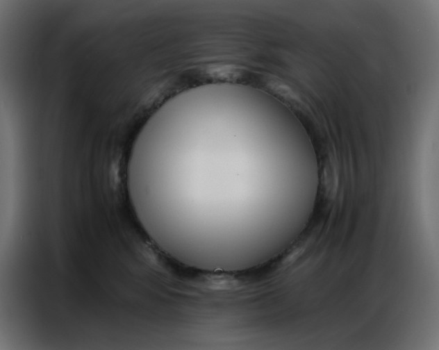 X0000086740424200705041411