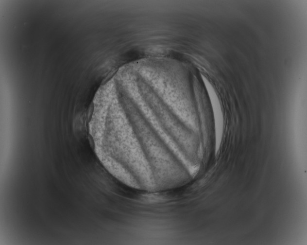 X0000086740425200705041411