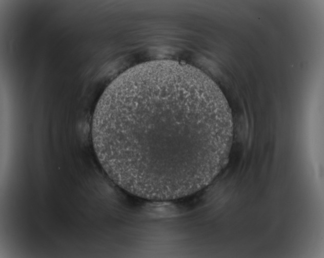 X0000086740427200705041411