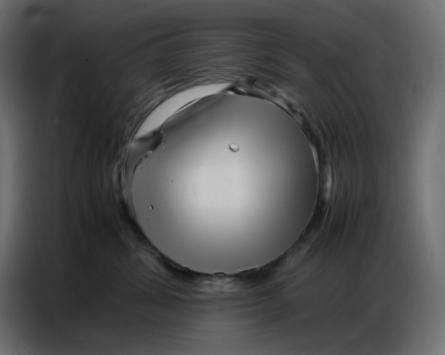 X0000086740428200705041411