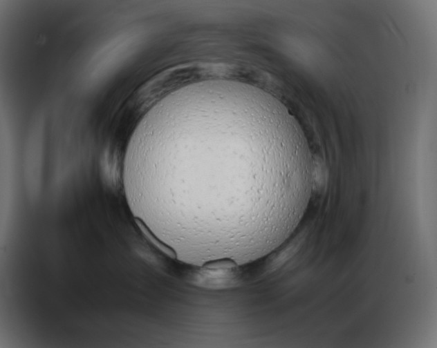 X0000086740431200705041411