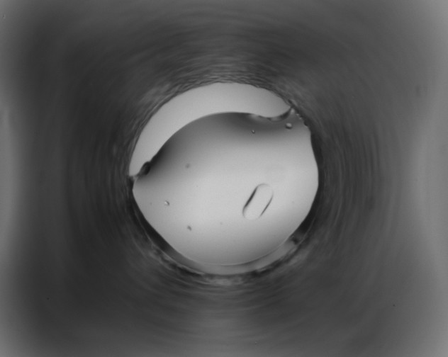 X0000086740432200705041411