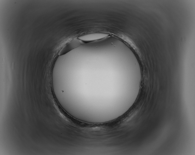 X0000086740433200705041410