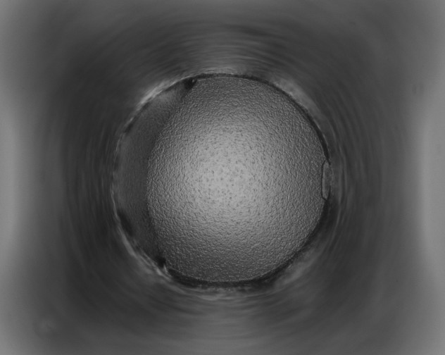 X0000086740434200705041410