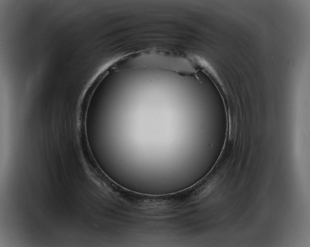 X0000086740435200705041410