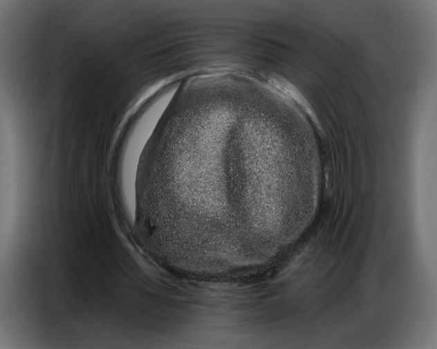 X0000086740436200705041410