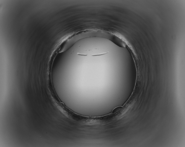 X0000086740437200705041410