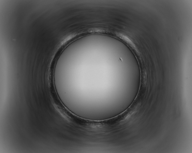 X0000086740439200705041411