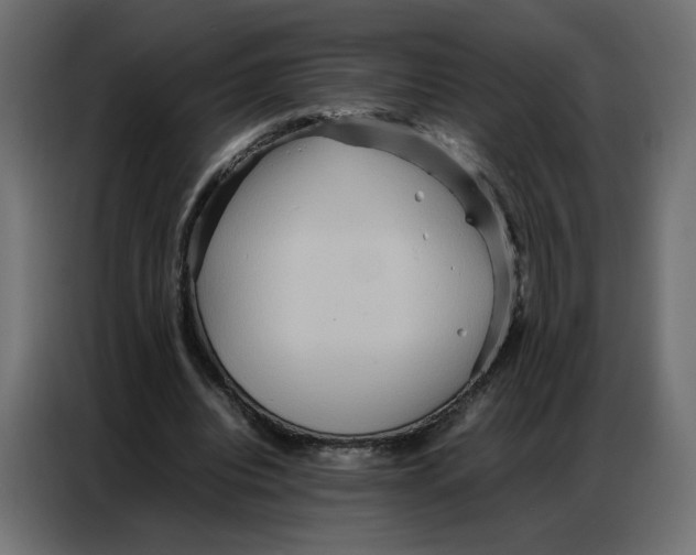 X0000086740440200705041411