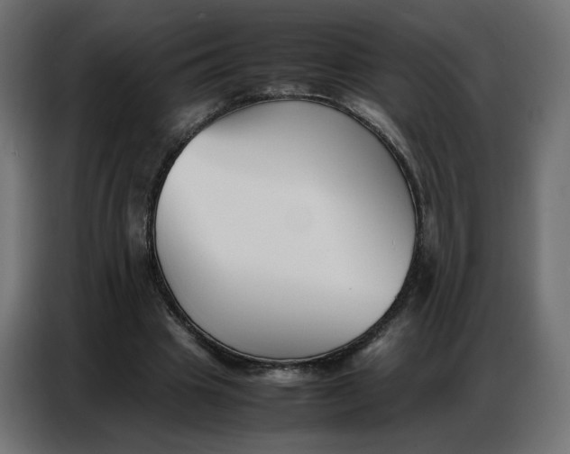 X0000086740441200705041411