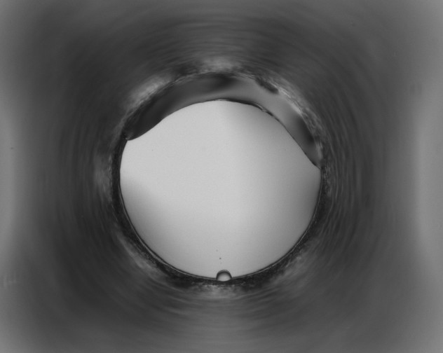 X0000086740442200705041411