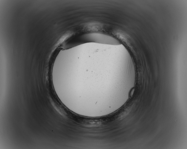 X0000086740443200705041411