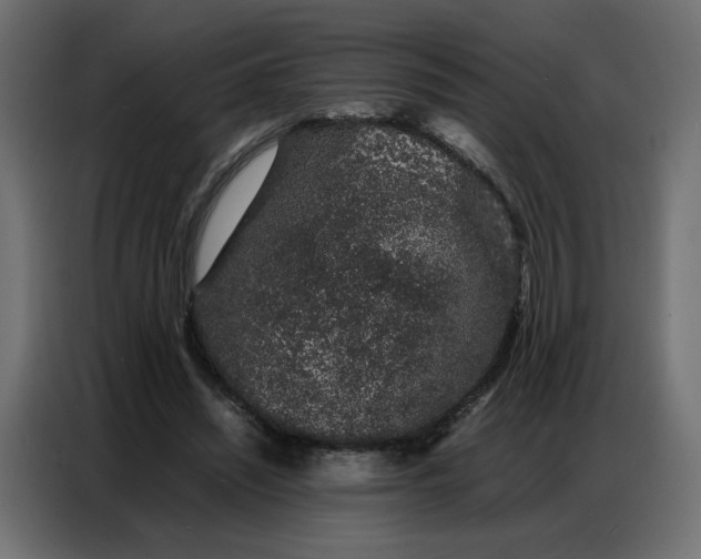 X0000086740444200705041411