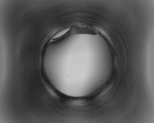 X0000086740445200705041411