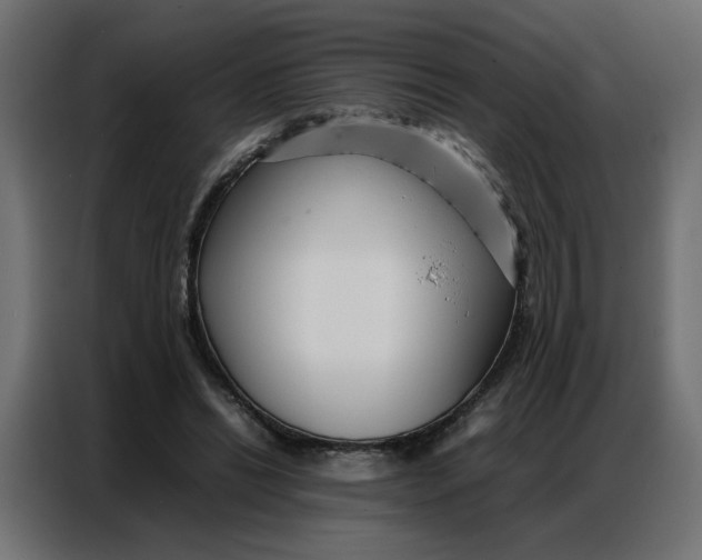 X0000086740446200705041411