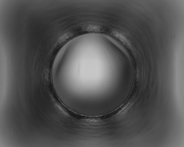 X0000086740449200705041411