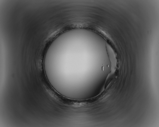 X0000086740450200705041411