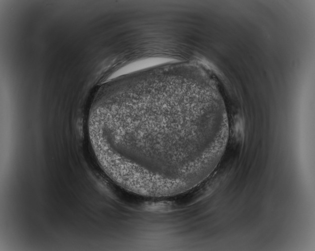 X0000086740452200705041411