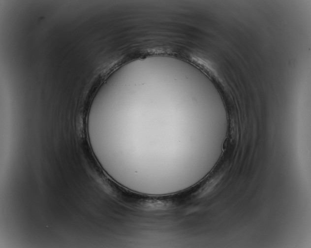 X0000086740453200705041411