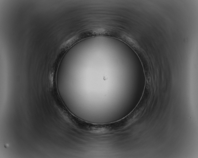 X0000086740454200705041411