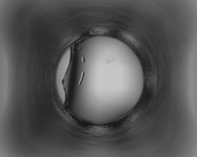 X0000086740455200705041411